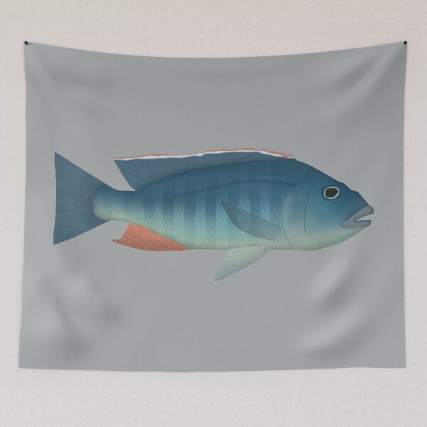 Item preview, Malawi Hawk designed and sold by fishfolkart.
