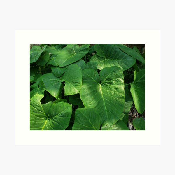 Item preview, Viridian Leaves designed and sold by astroshadow.