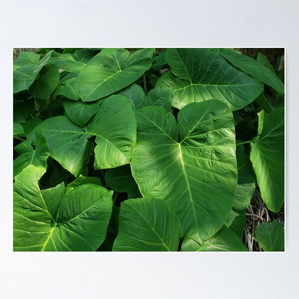 Item preview, Viridian Leaves designed and sold by astroshadow.
