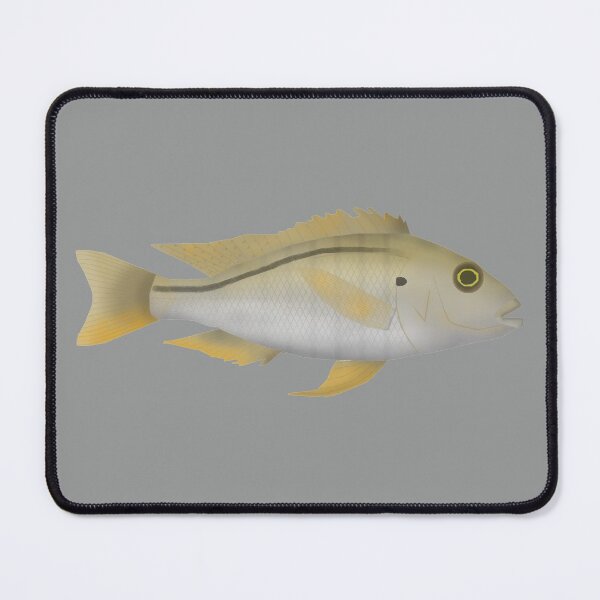 Item preview, Buccochromis atritaeniatus designed and sold by fishfolkart.