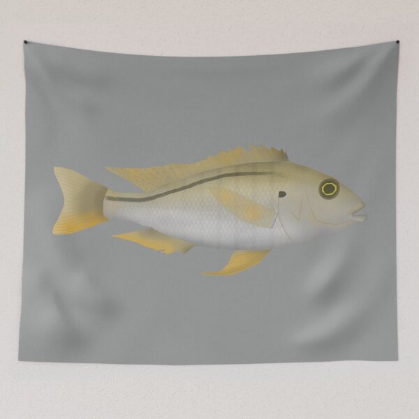 Item preview, Buccochromis atritaeniatus designed and sold by fishfolkart.