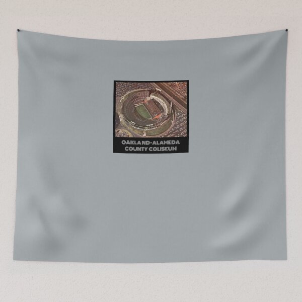 Item preview, Oakland-Alameda County Coliseum- Raiders Silver designed and sold by DeadStadium.