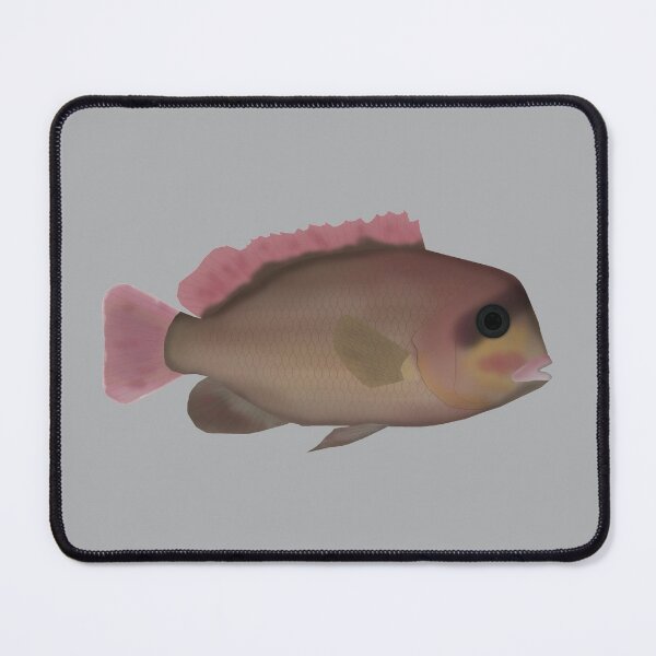Item preview, Heterochromis multidens designed and sold by fishfolkart.
