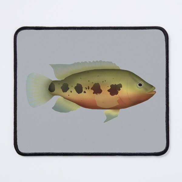 Item preview, Five-spot cichlid designed and sold by fishfolkart.