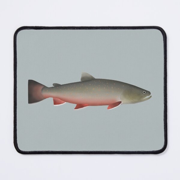 Item preview, Bull Trout designed and sold by fishfolkart.