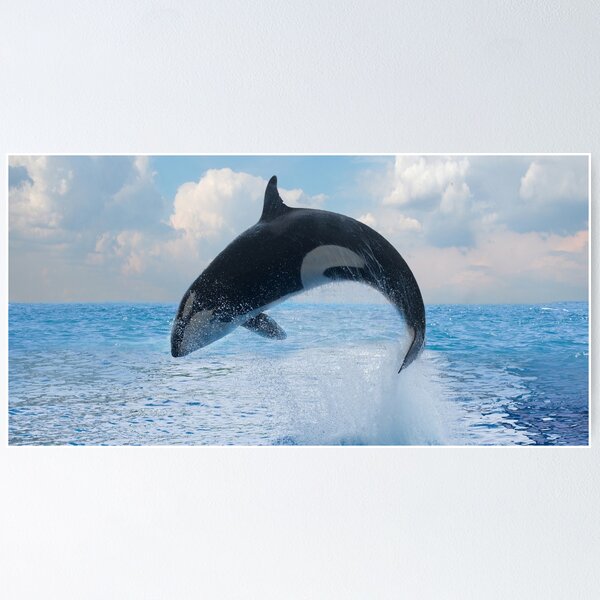 Item preview,  Panoramic,widescreen prints, Tapestries,Tapestry,throw blanket,whale wall art,whale art, ocean, sea, blue, fish,whale  designed and sold by eyesight4vision.