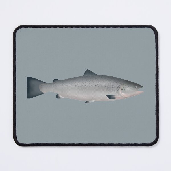 Item preview, Atlantic Salmon - Ocean Phase designed and sold by fishfolkart.