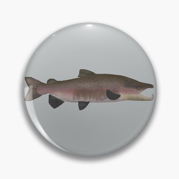 Item preview, Atlantic Salmon - Spawn Phase designed and sold by fishfolkart.