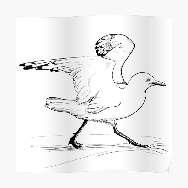 seagulls Poster