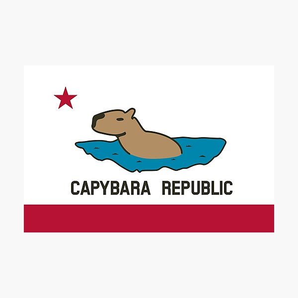 Capybara Flag Water Version Photographic Print For Sale By