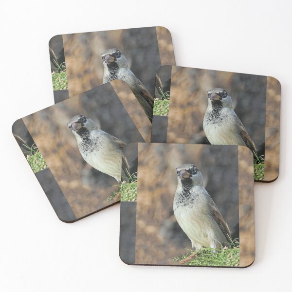 Item preview, r1016 / New Finition 2021  -- Moineau des Villages de Campagne - (c)(t) Olavia-Olao Okaio Créations designed and sold by o.okaïo.