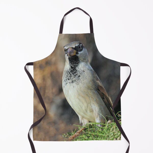 Item preview, r1016 / New Finition 2021 -- Moineau des Villages de Campagne - (c)(t) Olavia-Olao Okaio Créations designed and sold by o.okaïo.