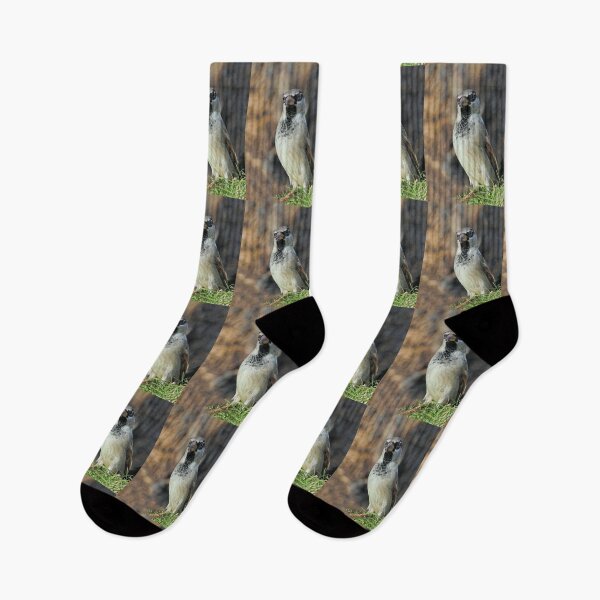 Aperçu de l'œuvre r1016 / New Finition 2021 -- Moineau des Villages de Campagne - (c)(t) Olavia-Olao Okaio Créations créée et vendue par o.okaïo.