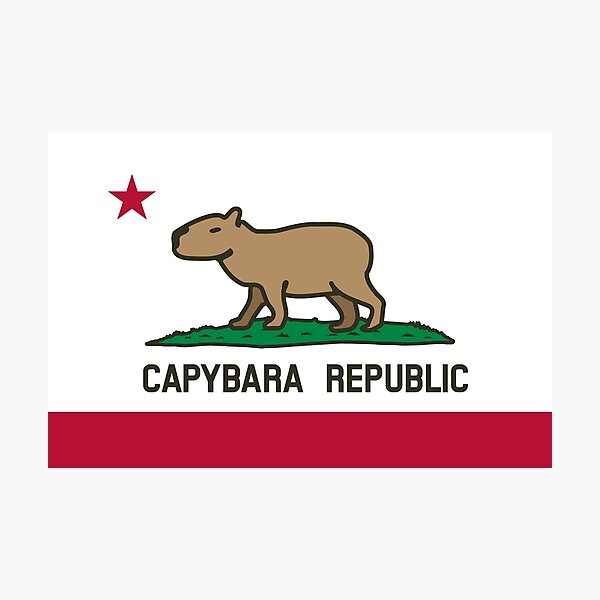 Capybara Flag (normal land version) Photographic Print