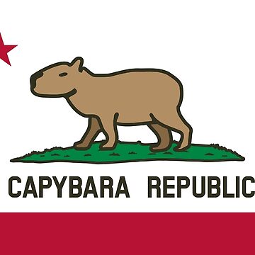 Capybara PNG - capybara-maps capybara-coloring-page capybara