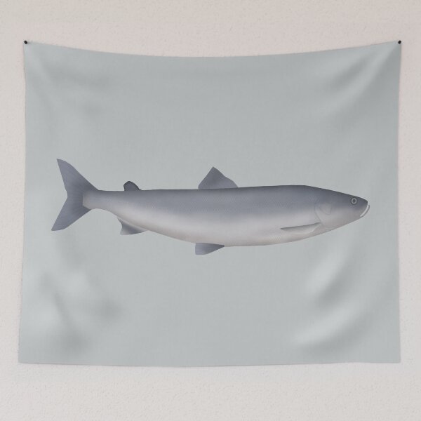 Item preview, Sheefish designed and sold by fishfolkart.