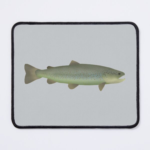 Item preview, Marble Trout designed and sold by fishfolkart.