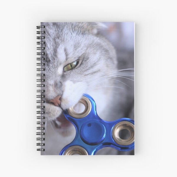 Fidget spiral notebook Cat