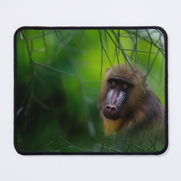 Item preview, Mandrill in Misty Green designed and sold by KbytesOfJax Outdoor and Nature.