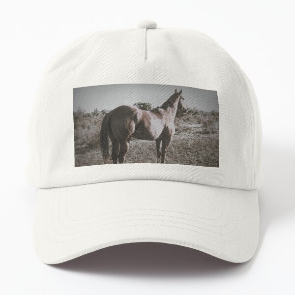 Aperçu de l'œuvre Quarter Horse créée et vendue par DVJPhotography.