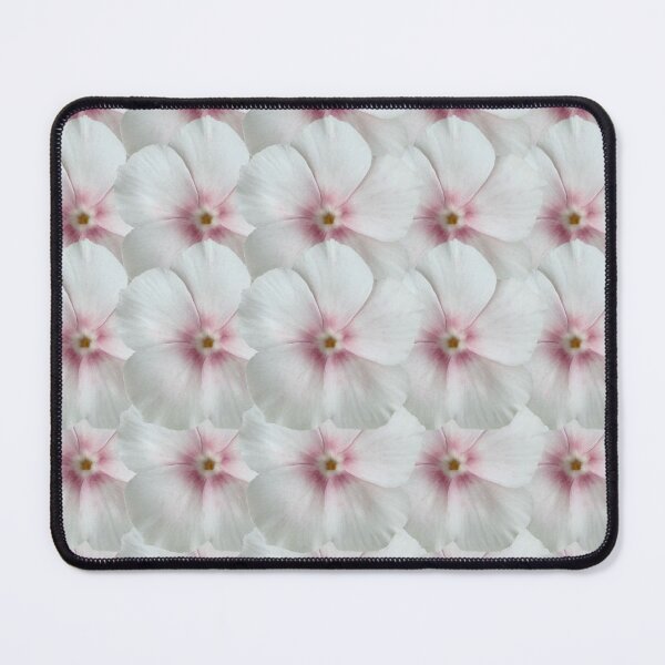 Item preview, White and Pink Phlox Flower Still Life Floral Photography designed and sold by CottoVerdi.
