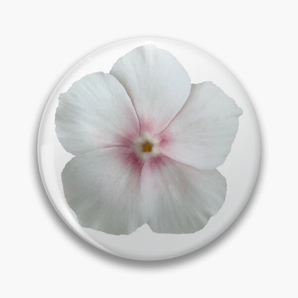 Item preview, White and Pink Phlox Flower Still Life Floral Photography designed and sold by CottoVerdi.