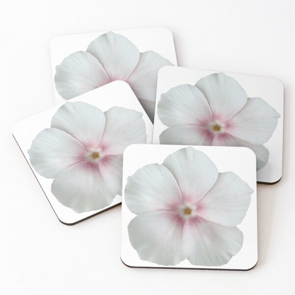 Item preview, White and Pink Phlox Flower Still Life Floral Photography designed and sold by CottoVerdi.
