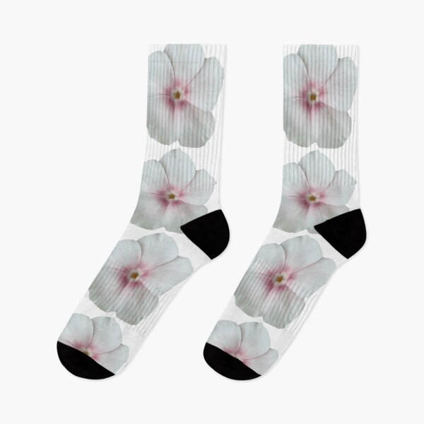 Item preview, White and Pink Phlox Flower Still Life Floral Photography designed and sold by CottoVerdi.