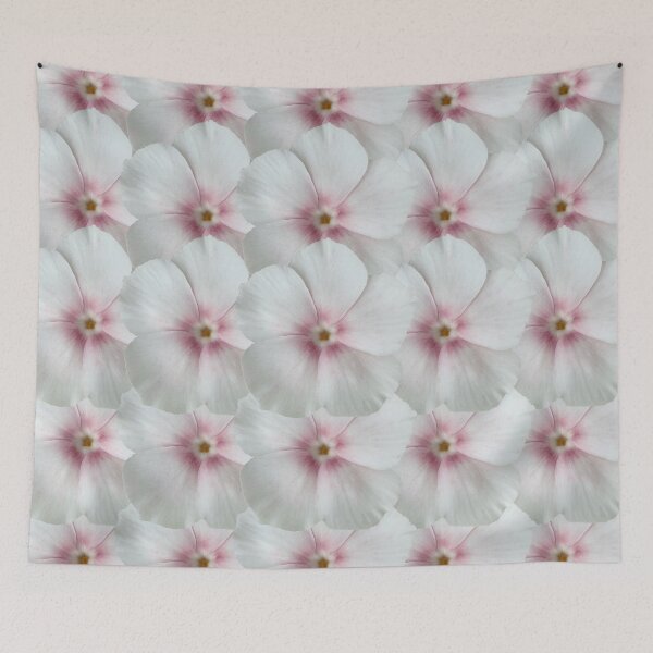 Item preview, White and Pink Phlox Flower Still Life Floral Photography designed and sold by CottoVerdi.