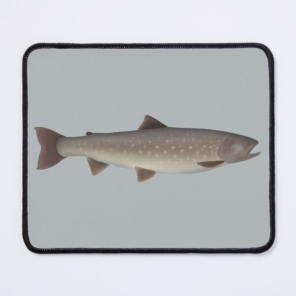 Item preview, Whitespotted Char designed and sold by fishfolkart.