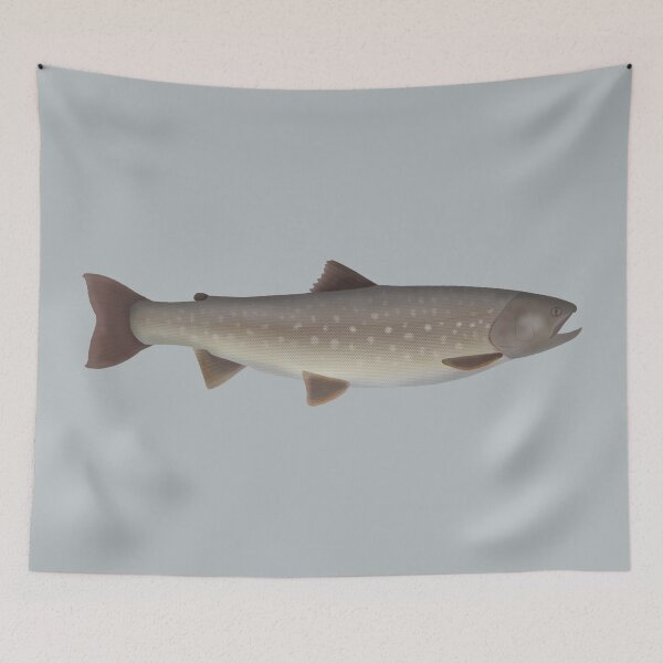 Item preview, Whitespotted Char designed and sold by fishfolkart.
