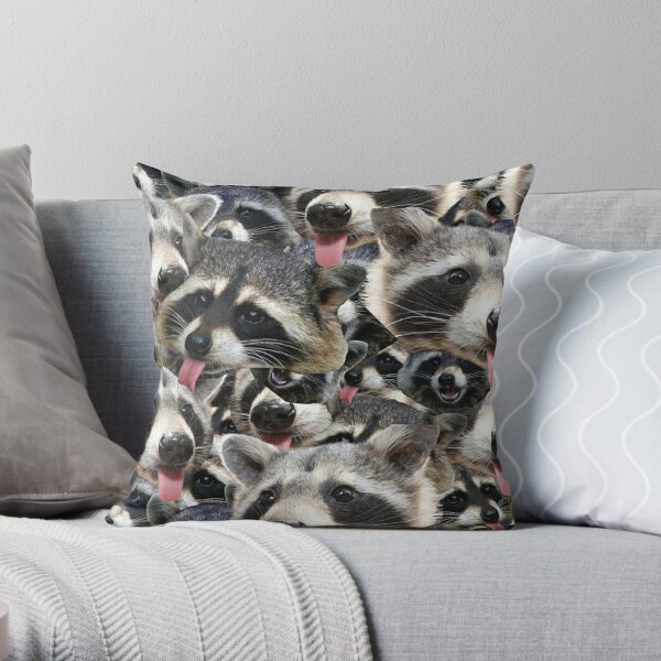 Hilarious Raccoon lover Gifts and more Raccoon Stay Trashy Throw Pillow Multicolor 18x18