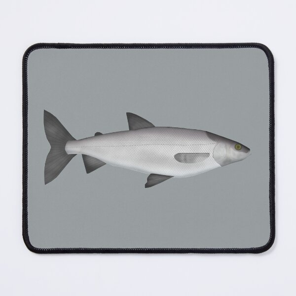 Item preview, Cisco designed and sold by fishfolkart.
