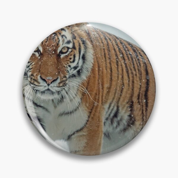Item preview, Majestic Tiger in the Snow designed and sold by SafariNation.