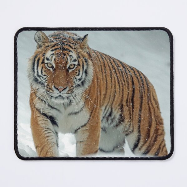 Item preview, Majestic Tiger in the Snow designed and sold by SafariNation.