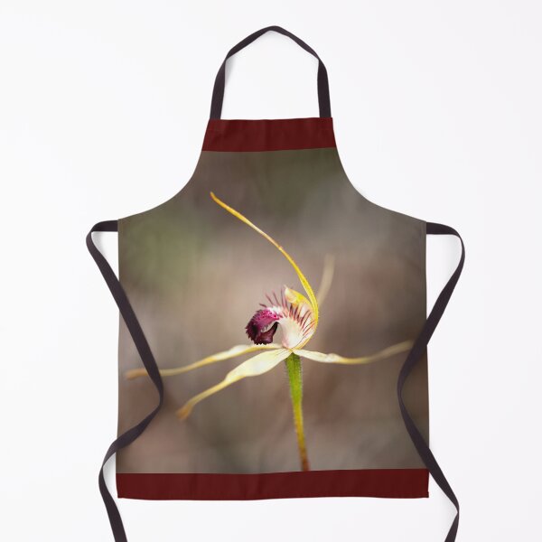 Item preview, dunsborough Spider designed and sold by gwenthewren.