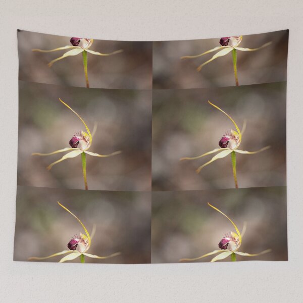 Item preview, dunsborough Spider designed and sold by gwenthewren.