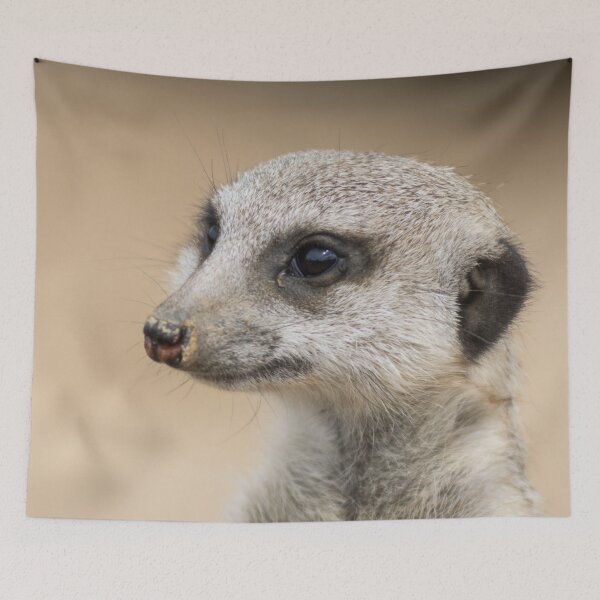 Item preview, Meerkat Dude designed and sold by SafariNation.