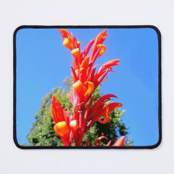Item preview, Canna Red Dragon Flower Bloom designed and sold by Carlo Varo.