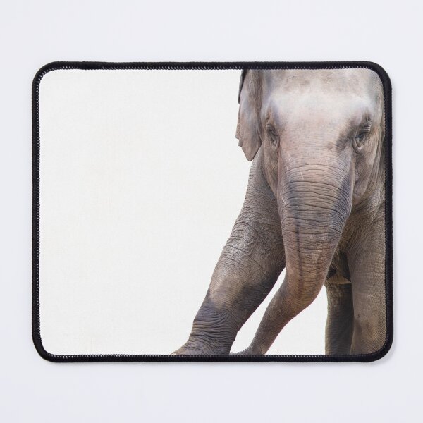 Item preview, Elephant Stare designed and sold by SafariNation.