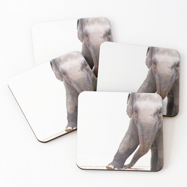 Item preview, Elephant Stare designed and sold by SafariNation.