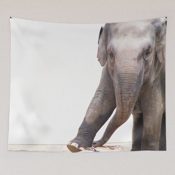 Item preview, Elephant Stare designed and sold by SafariNation.