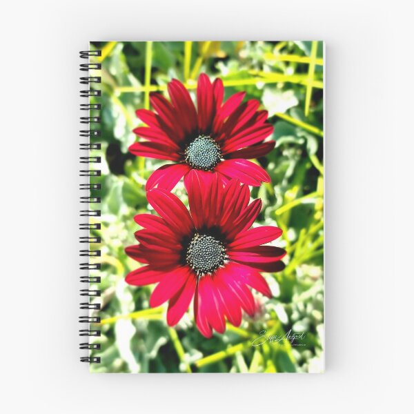 Item preview, RED DAISIES designed and sold by Steffi August.