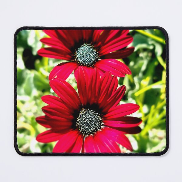 Item preview, RED DAISIES designed and sold by Steffi August.