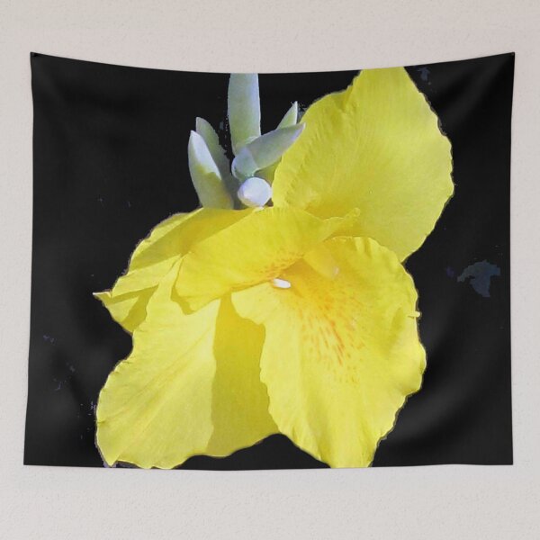 Item preview, Yellow Canna Flower designed and sold by Carlo Varo.