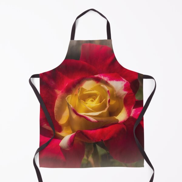 Aperçu de l'œuvre Rose rouge créée et vendue par DVJPhotography.