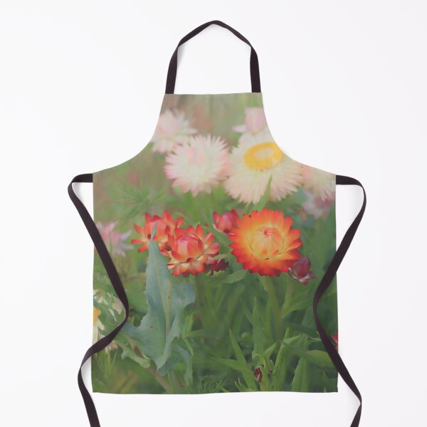 Item preview, Paper Daisies designed and sold by DVJPhotography.