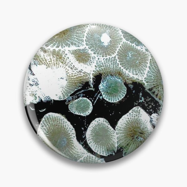 Item preview, Petoskey Stone perfectly polished designed and sold by allicatcorreia.