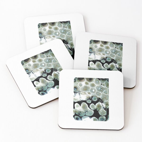 Item preview, Petoskey Stone perfectly polished designed and sold by allicatcorreia.