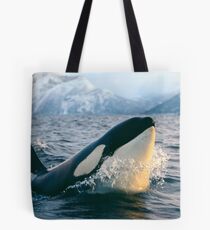 Orca - Tysfjord, Norwegen Tote Bag